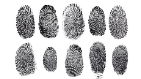 same fingerprints odds